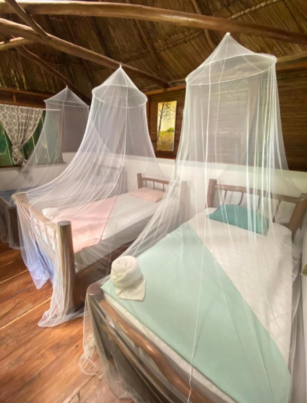 Casa De La Iguana Hostel Livingston Bagian luar foto