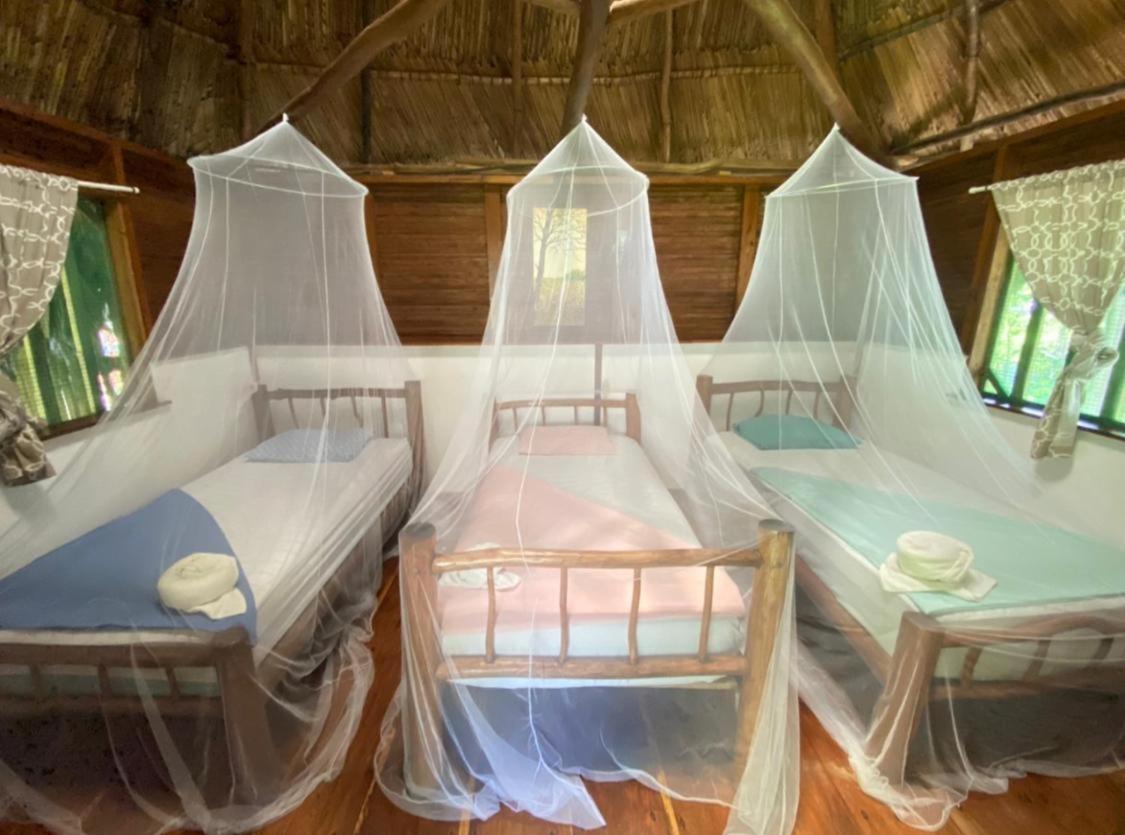 Casa De La Iguana Hostel Livingston Bagian luar foto