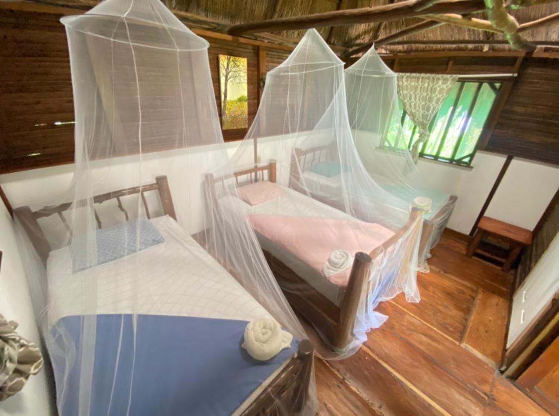 Casa De La Iguana Hostel Livingston Bagian luar foto